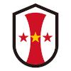 伊纳卡女足logo